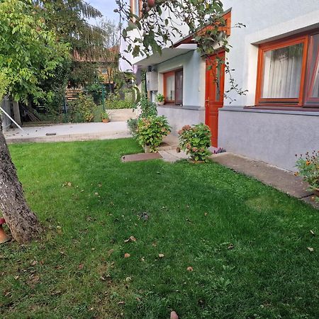 סראייבו Apartment Near Center מראה חיצוני תמונה