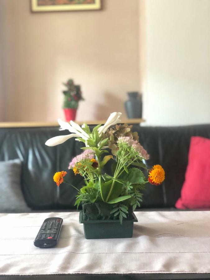סראייבו Apartment Near Center מראה חיצוני תמונה
